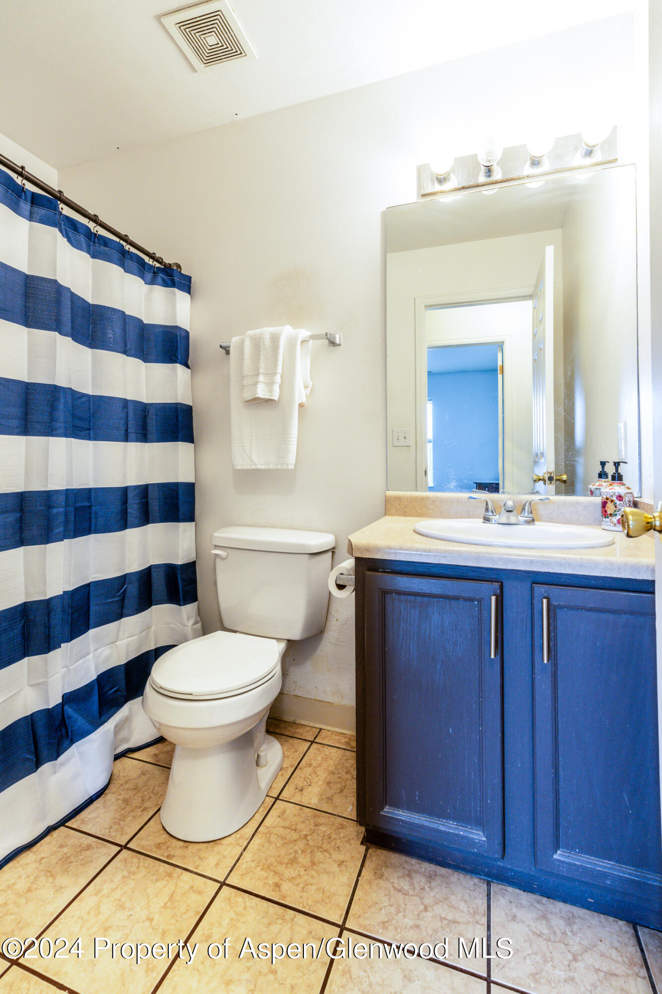 2020 Acacia Avenue Rifle, CO 81650 - Photo 9 of 22 DSC08897-Edit
