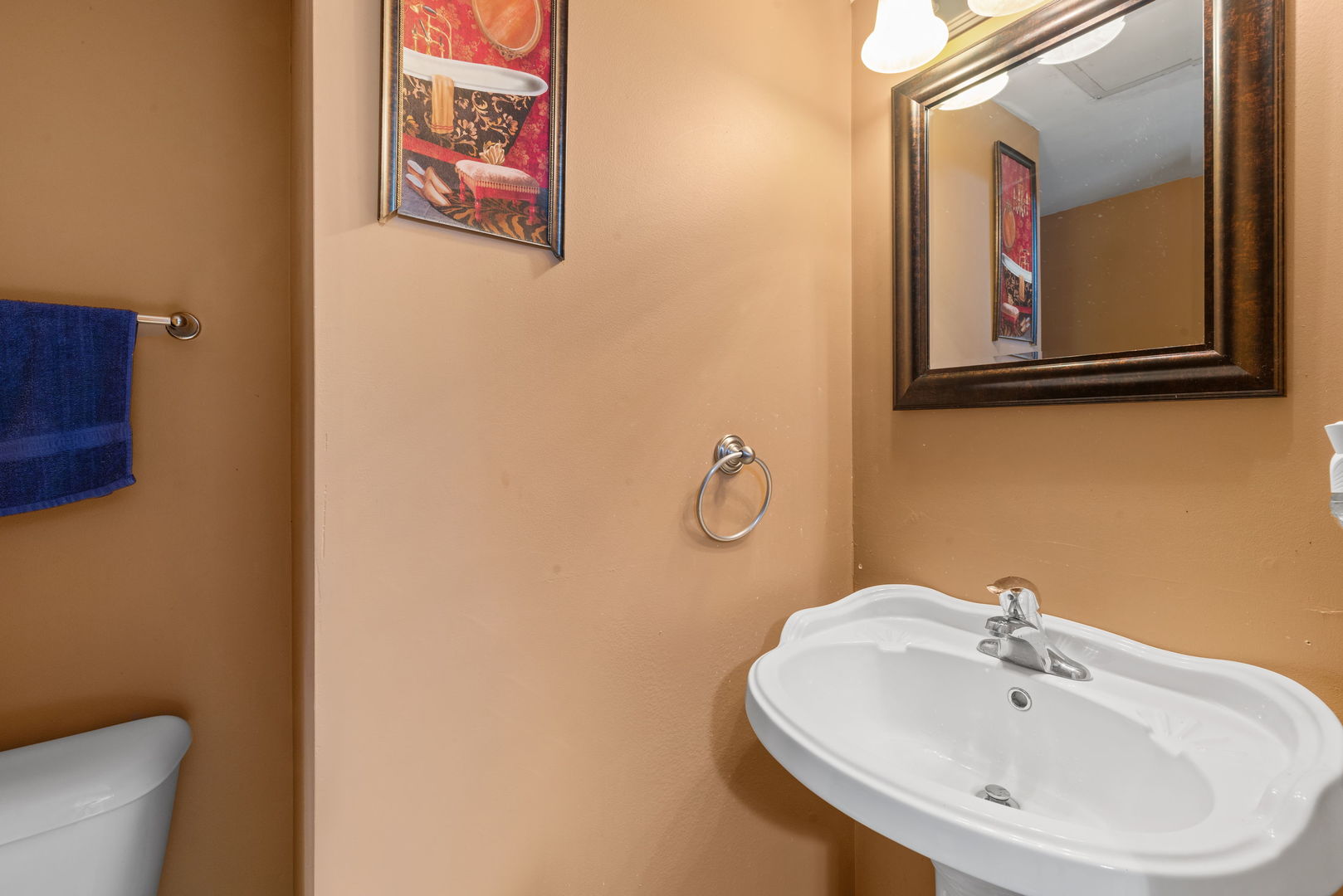 1645 Victoria Park Circle, Unit 1645 Aurora, IL 60504 - Photo 9 of 15