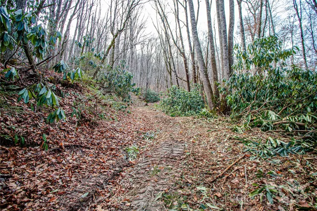 $1,750,000 | Tbd Tannassee Crk Road, Tuckasegee, NC 28783