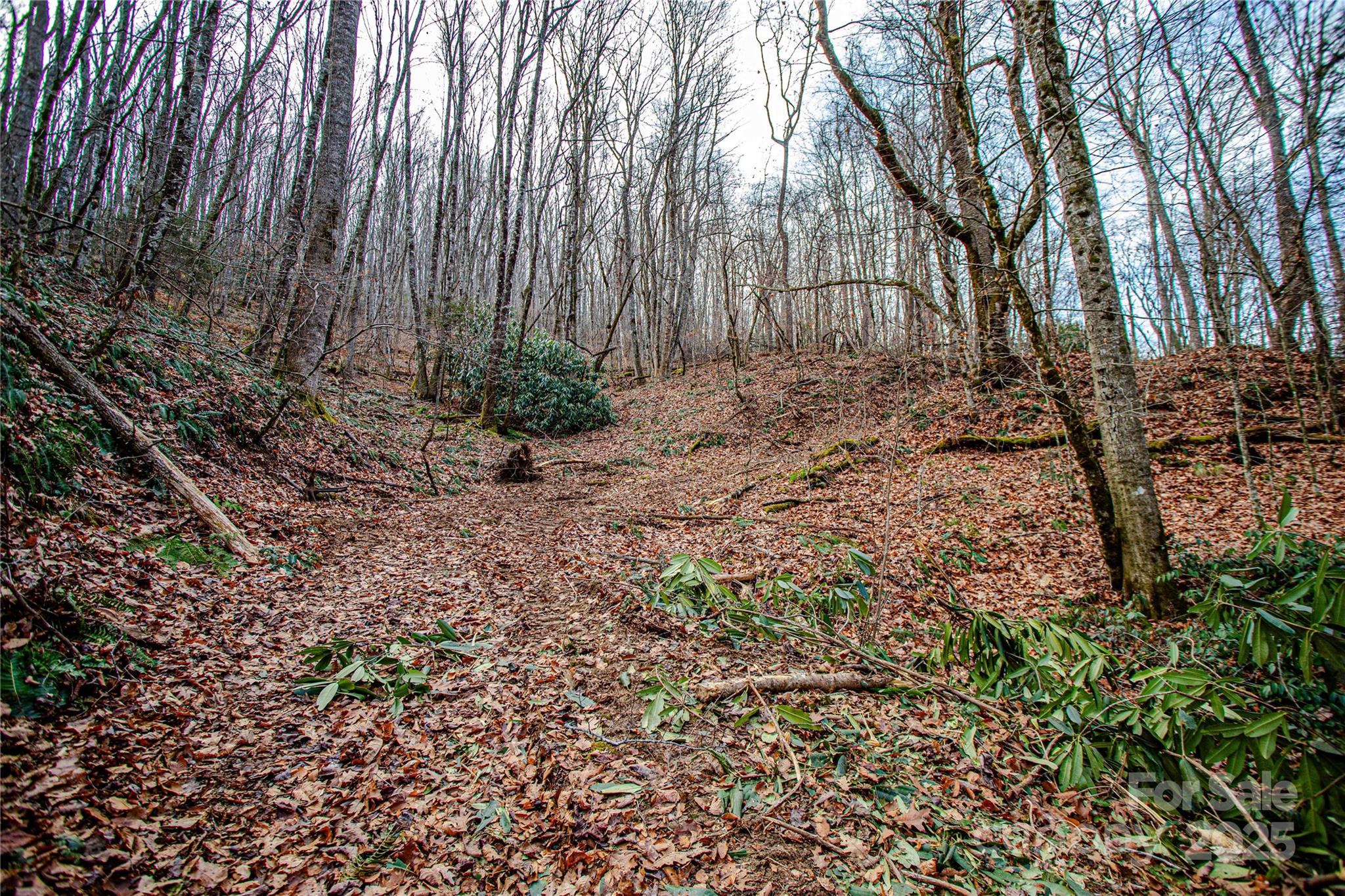 Tbd Tannassee Crk Road Tuckasegee, NC 28783 - Photo 13 of 32