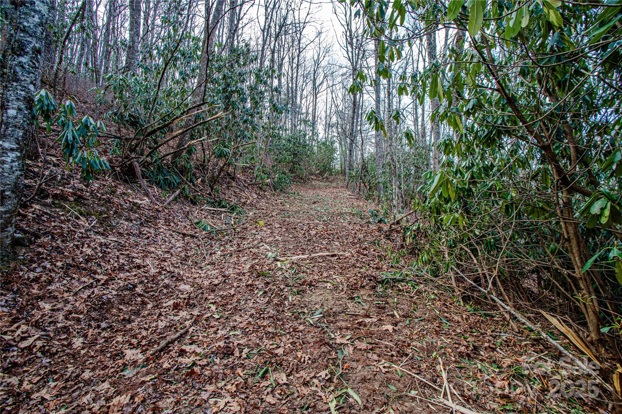 Tbd Tannassee Crk Road Tuckasegee, NC 28783 - Photo 16 of 32