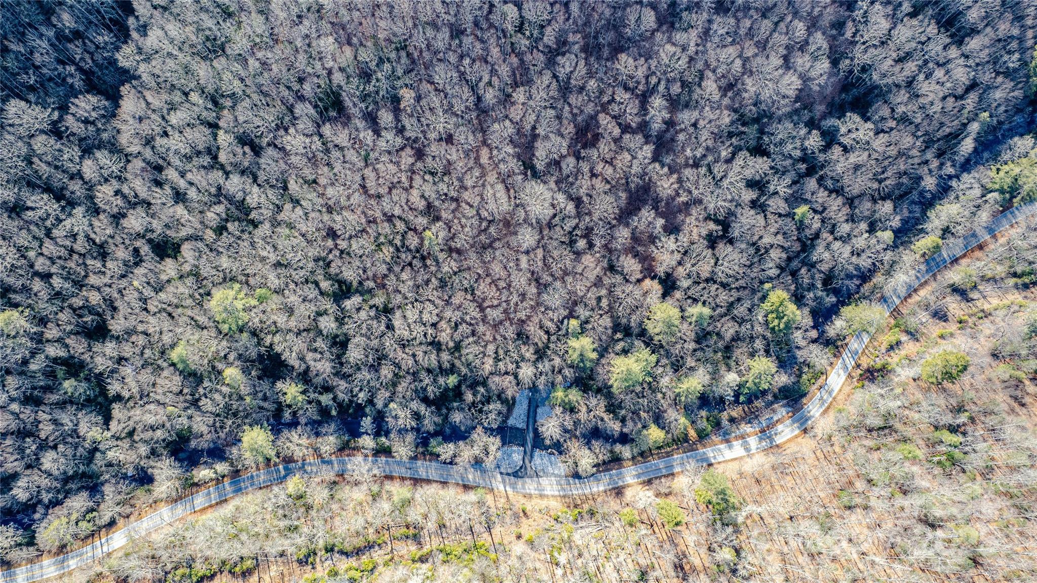 Tbd Tannassee Crk Road Tuckasegee, NC 28783 - Photo 17 of 32