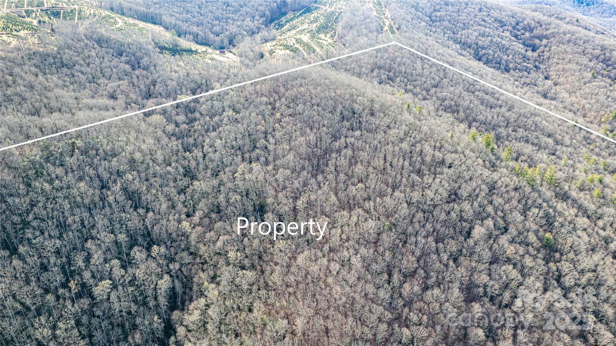 Tbd Tannassee Crk Road Tuckasegee, NC 28783 - Photo 18 of 32