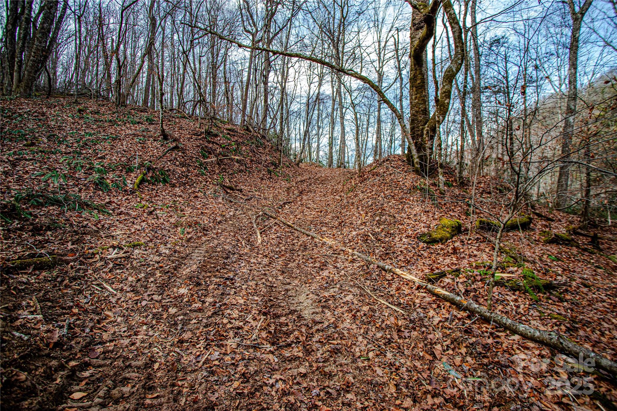 Tbd Tannassee Crk Road Tuckasegee, NC 28783 - Photo 19 of 32