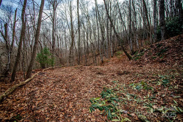 $1,750,000 | Tbd Tannassee Crk Road, Tuckasegee, NC 28783