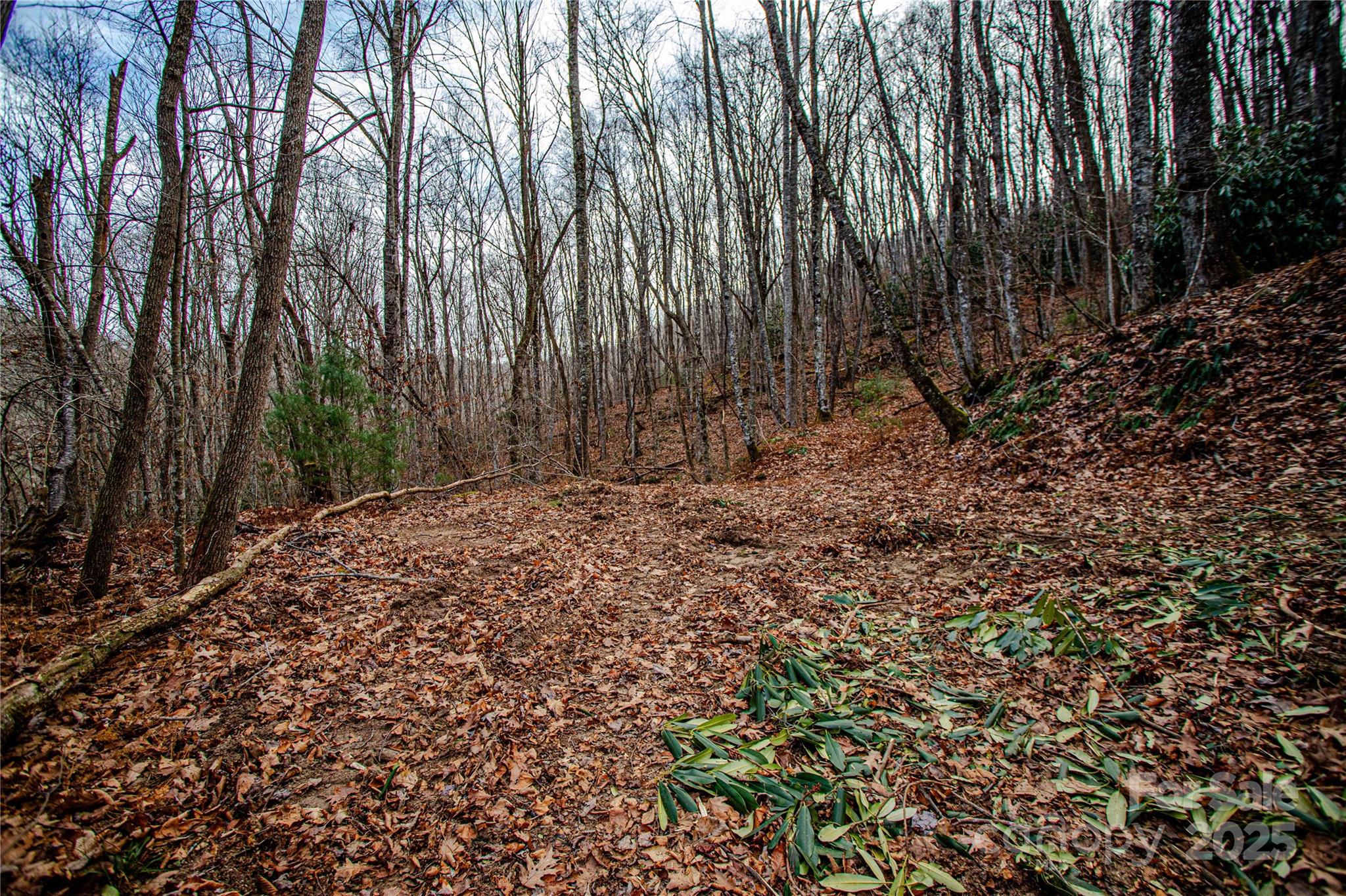 Tbd Tannassee Crk Road Tuckasegee, NC 28783 - Photo 21 of 32