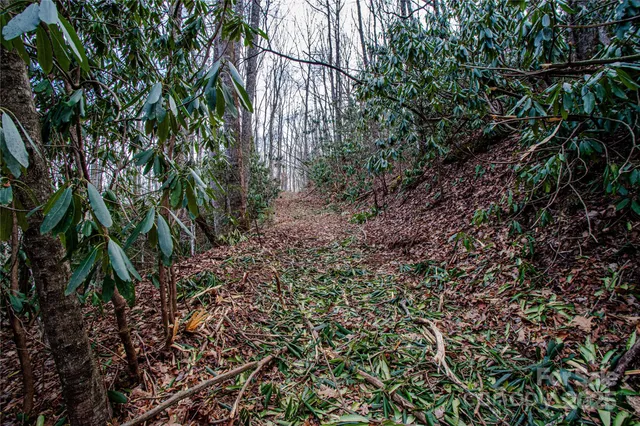 $1,750,000 | Tbd Tannassee Crk Road, Tuckasegee, NC 28783