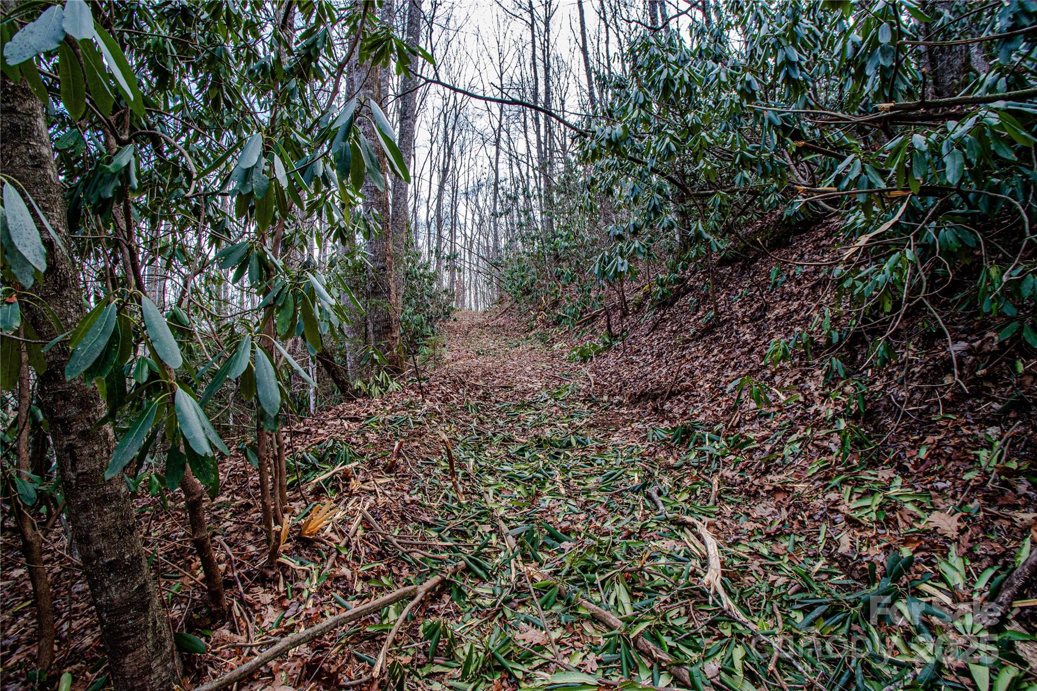 Tbd Tannassee Crk Road Tuckasegee, NC 28783 - Photo 23 of 32