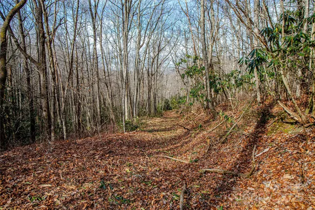 $1,750,000 | Tbd Tannassee Crk Road, Tuckasegee, NC 28783