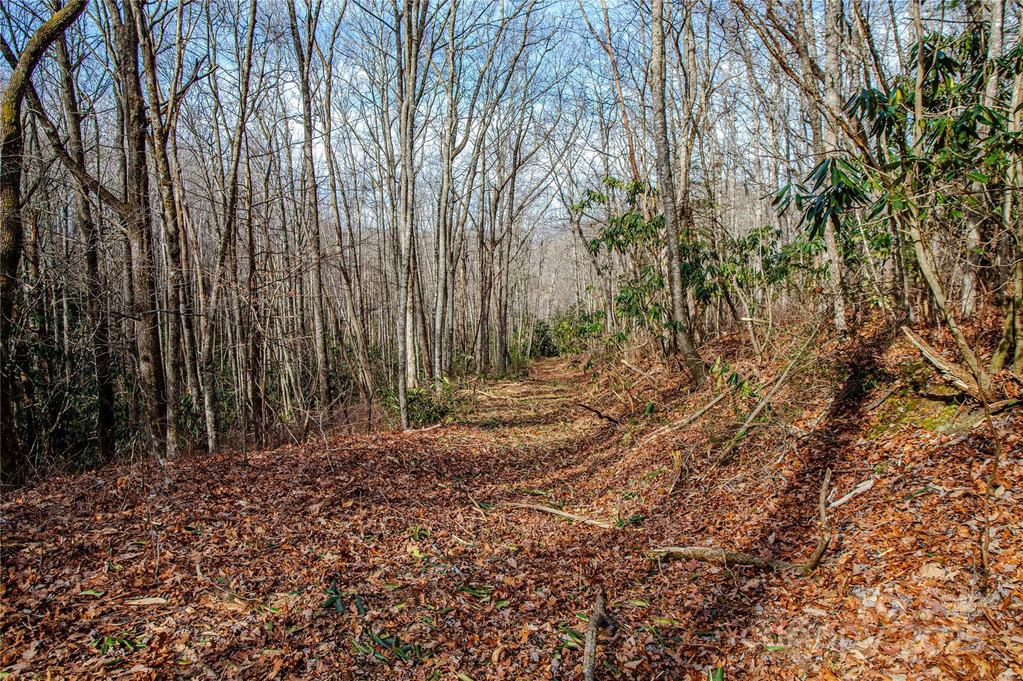 Tbd Tannassee Crk Road Tuckasegee, NC 28783 - Photo 25 of 32