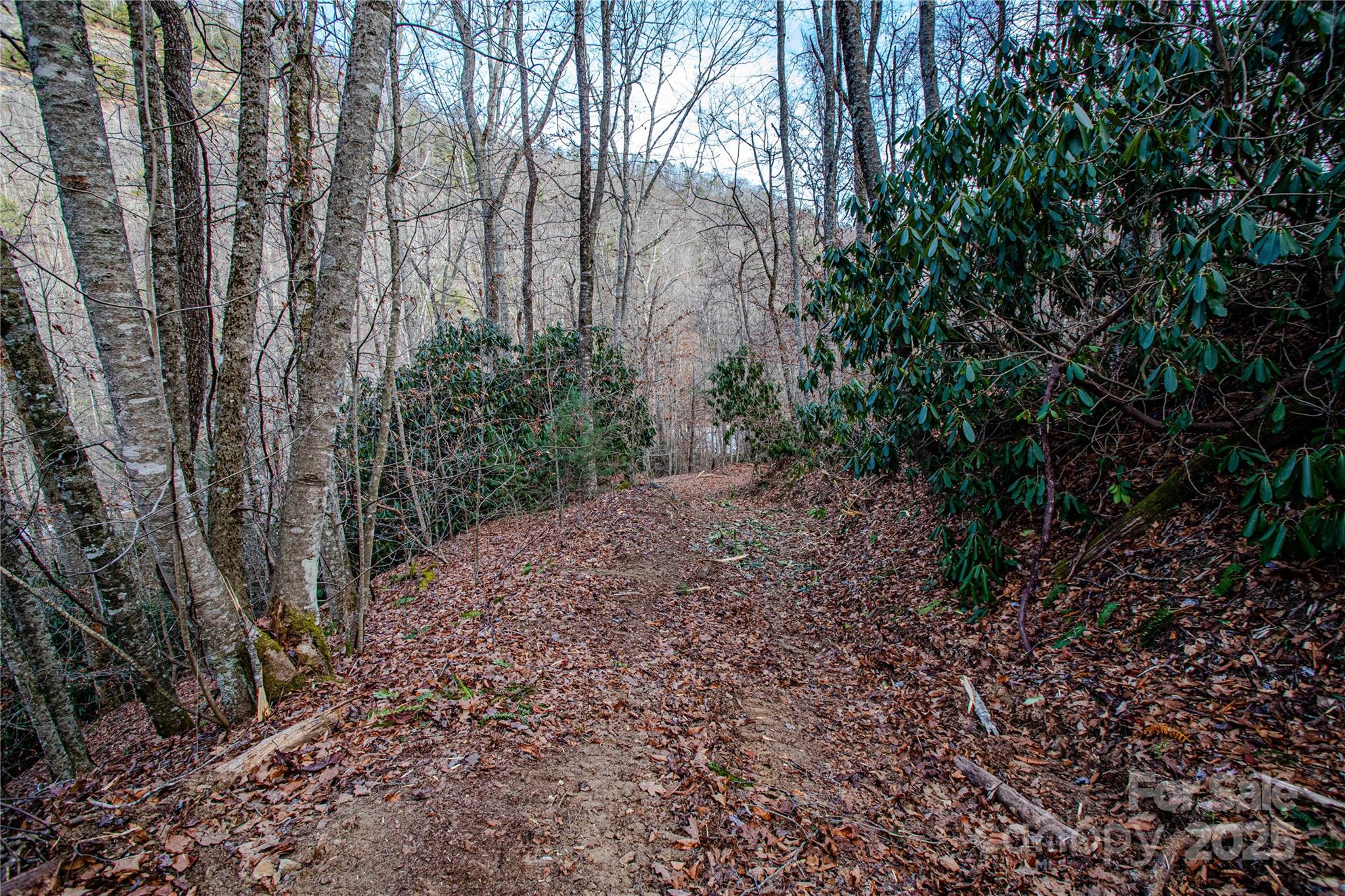 Tbd Tannassee Crk Road Tuckasegee, NC 28783 - Photo 27 of 32
