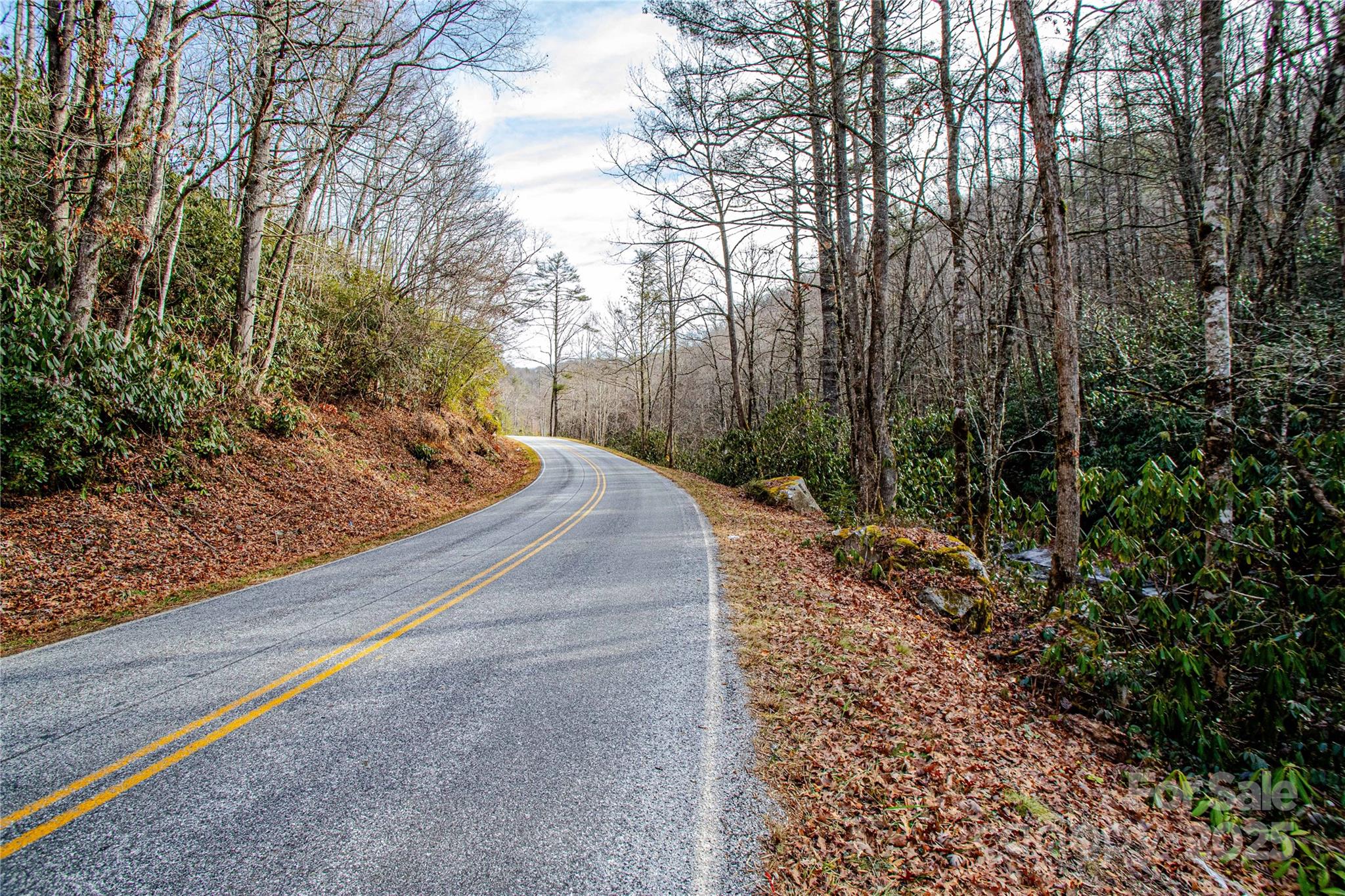 Tbd Tannassee Crk Road Tuckasegee, NC 28783 - Photo 29 of 32