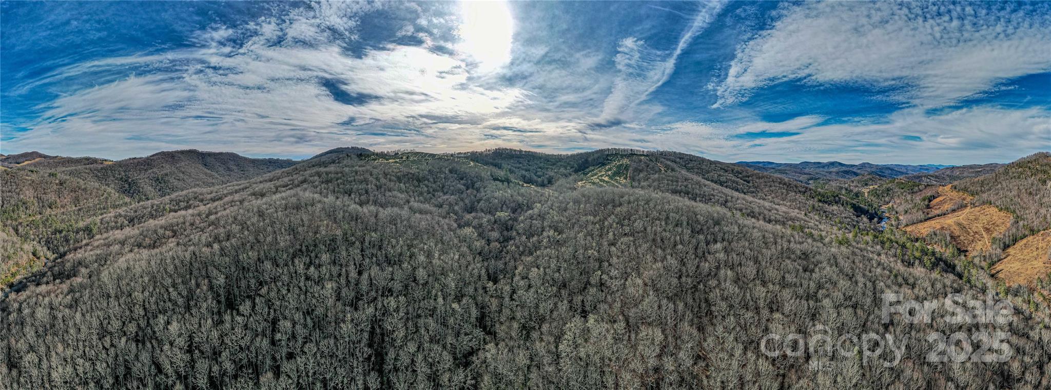 Tbd Tannassee Crk Road Tuckasegee, NC 28783 - Photo 3 of 32