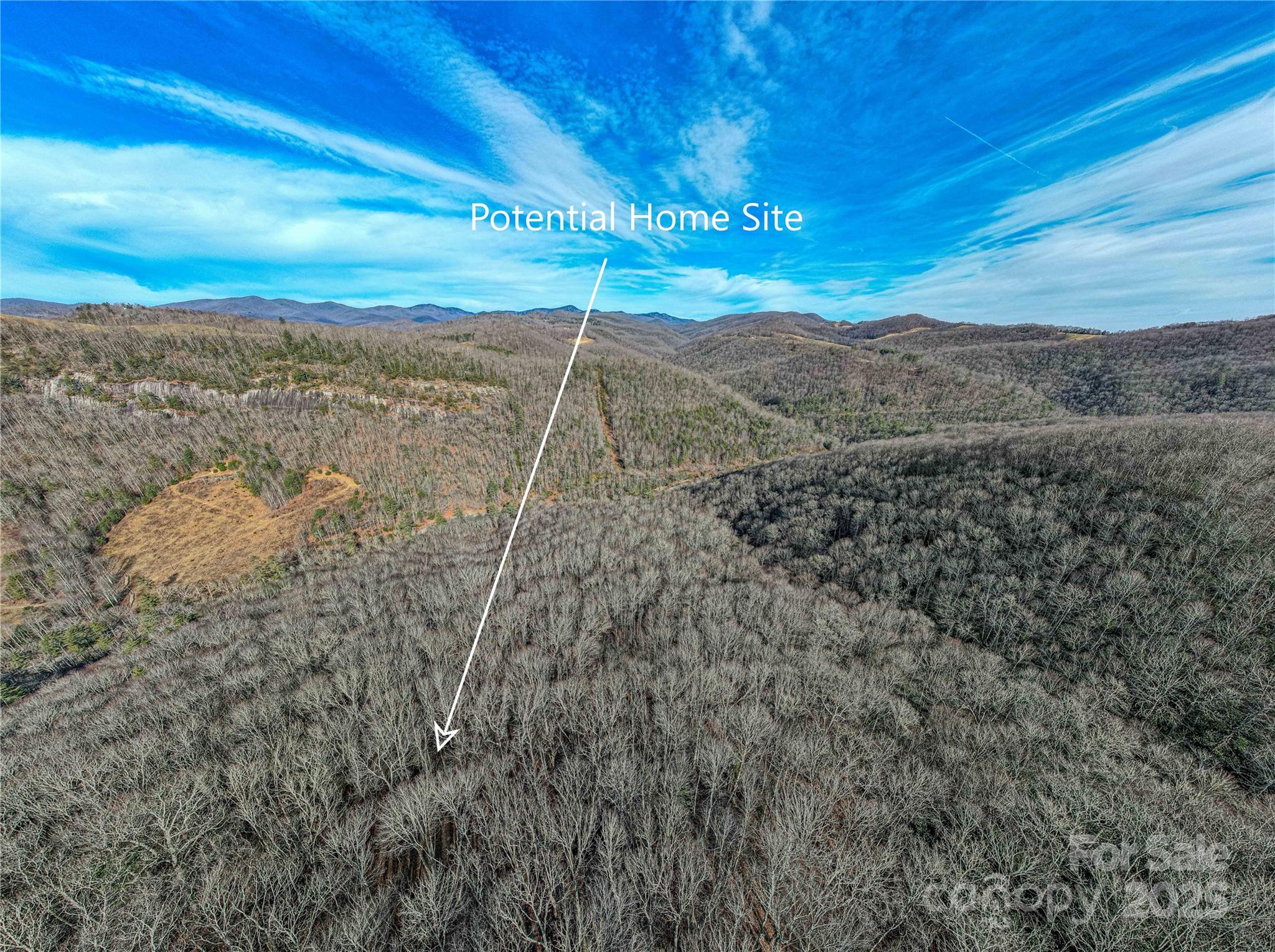 Tbd Tannassee Crk Road Tuckasegee, NC 28783 - Photo 6 of 32