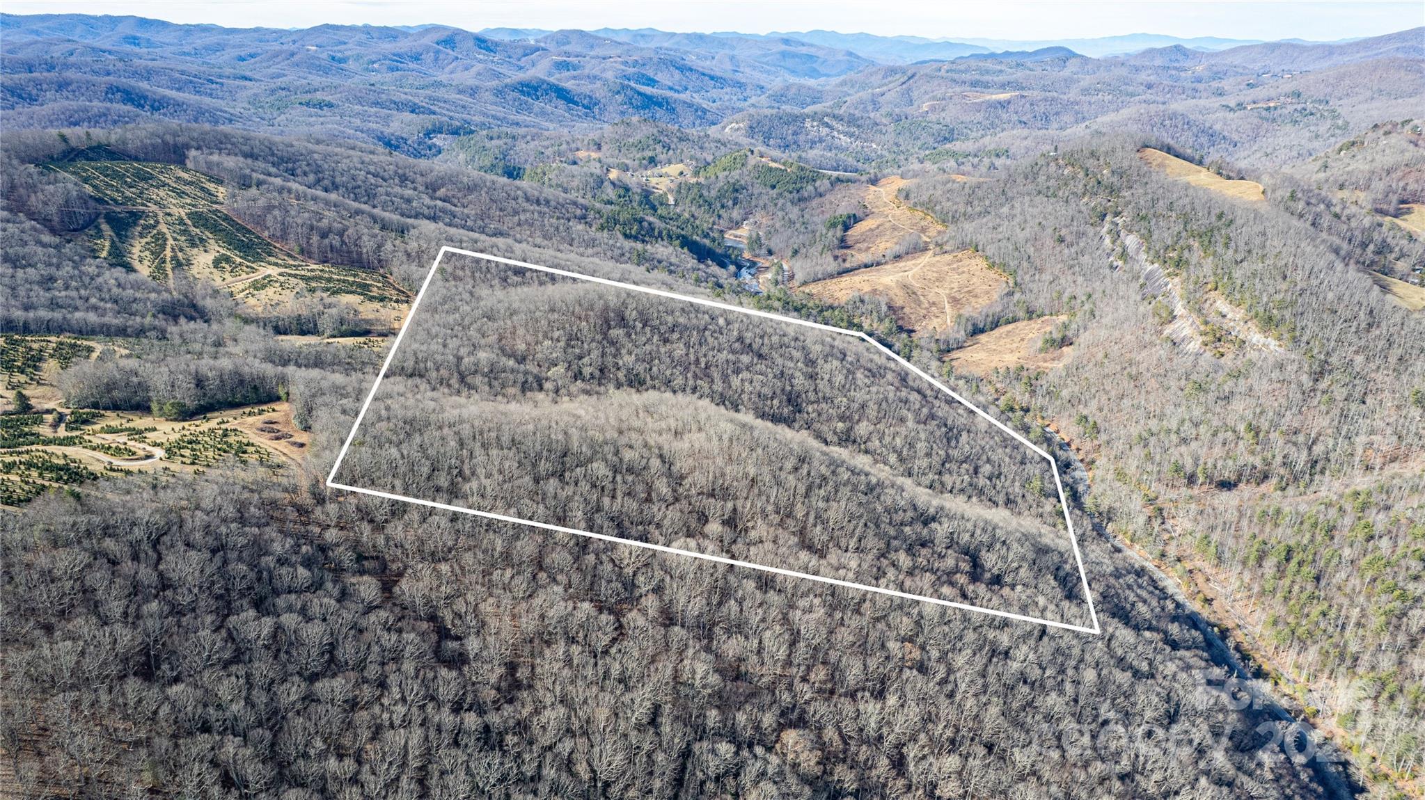 Tbd Tannassee Crk Road Tuckasegee, NC 28783 - Photo 7 of 32