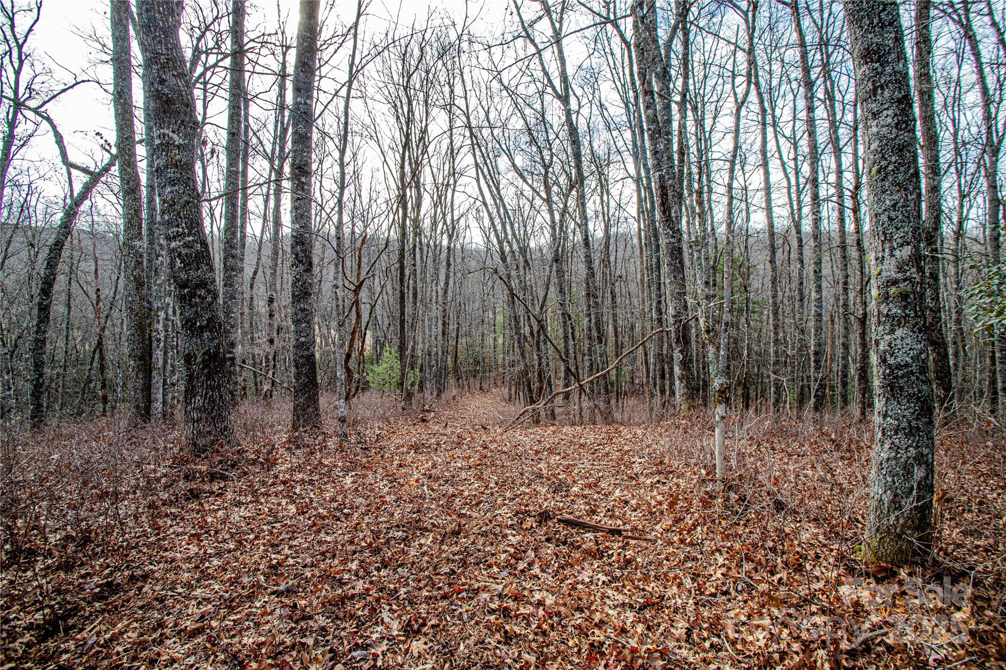 Tbd Tannassee Crk Road Tuckasegee, NC 28783 - Photo 10 of 32