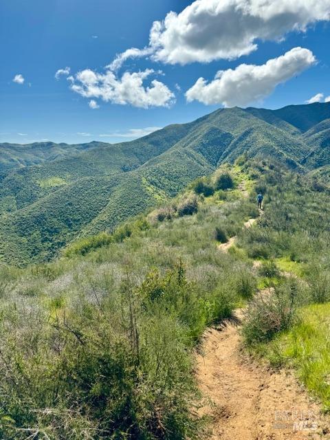 8560 Holmes Lane Winters, CA 95694 - Photo 93 of 98 Stebbins Cold Creek Canyon Hiking Trail - If you haven't yet discovered the charming town of Winters, it's worth a visit! With a population of just under 8,000, it’s known for its local wineries, trendy breweries, delightful dining options, quaint coffee bars, numerous town activities, and treasured shopping. Enjoy the benefits of small-town living while having quick access to UC Davis, Sacramento, Napa, and the Bay Area. Weekend relaxation is just a drive away—within minutes you could be hiking, mountain biking, boating, fishing, or kayaking at Lake Berryessa. Embrace the lifestyle!