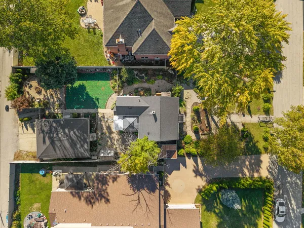 a view of a garden with plants