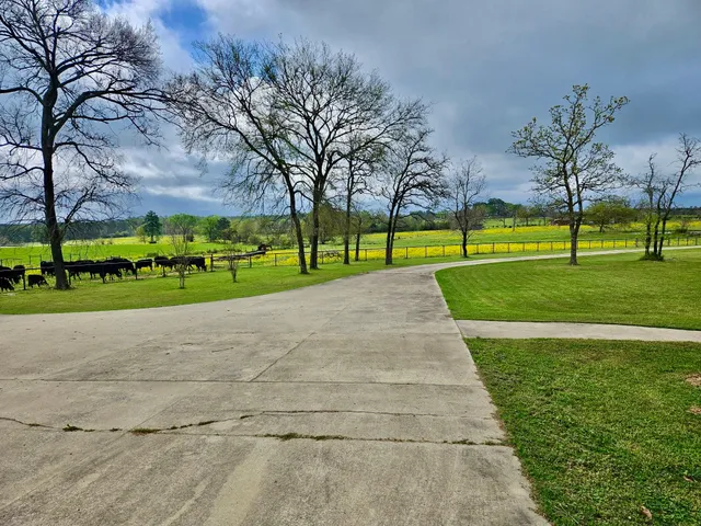 $5,648,500 | 377 Farm To Market Road 3179, Huntsville, TX 77340