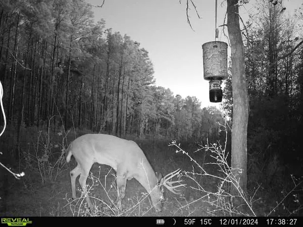 a backyard of a house