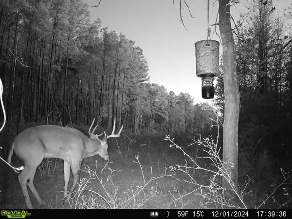 a view of small space