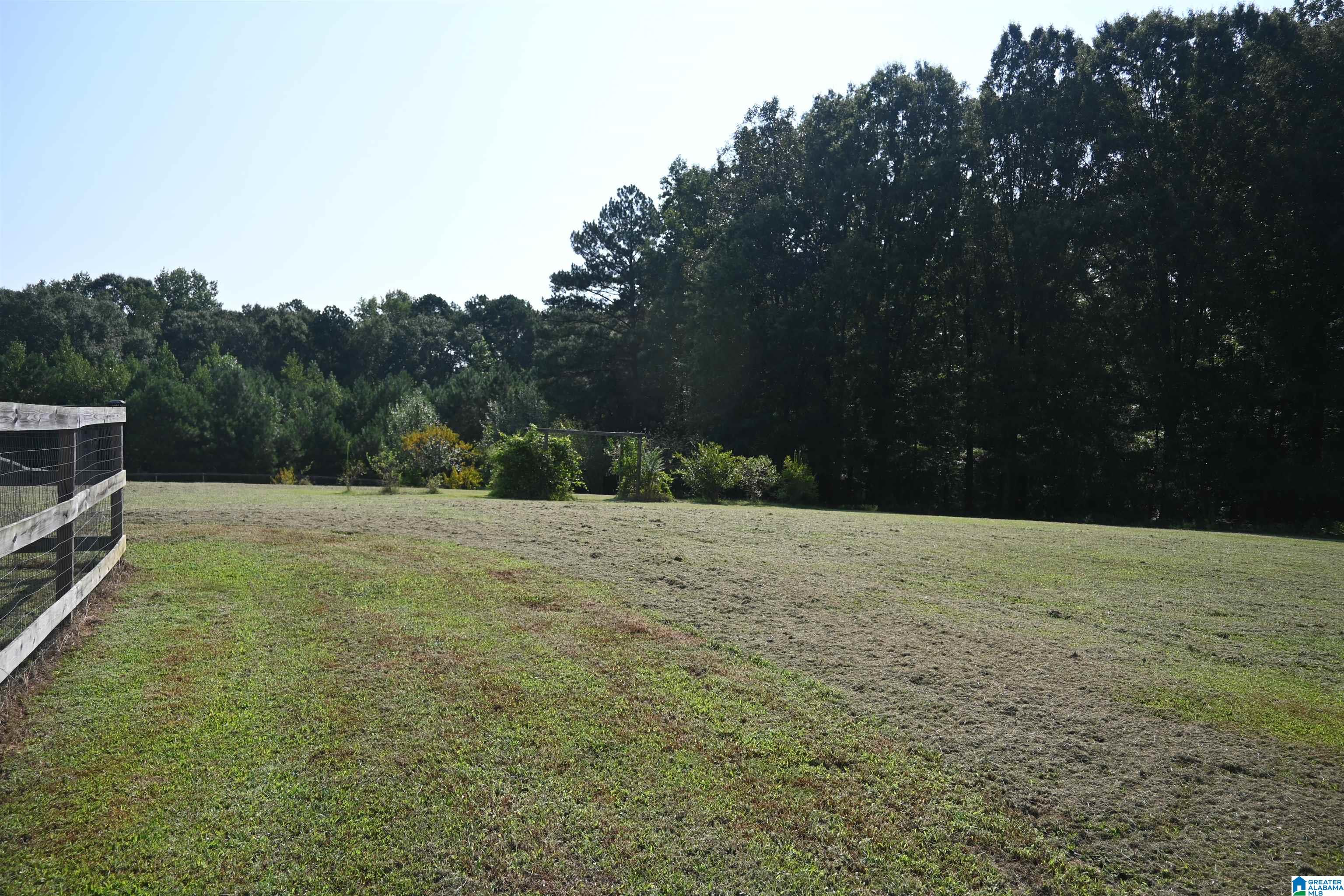 1401 County Road 844 Logan, AL 35098 - Photo 18 of 34