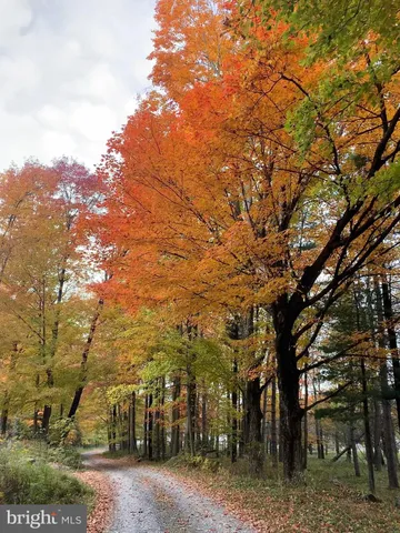 $1,750,000 | 341 Hidden Meadow Lane, Swanton, MD 21561