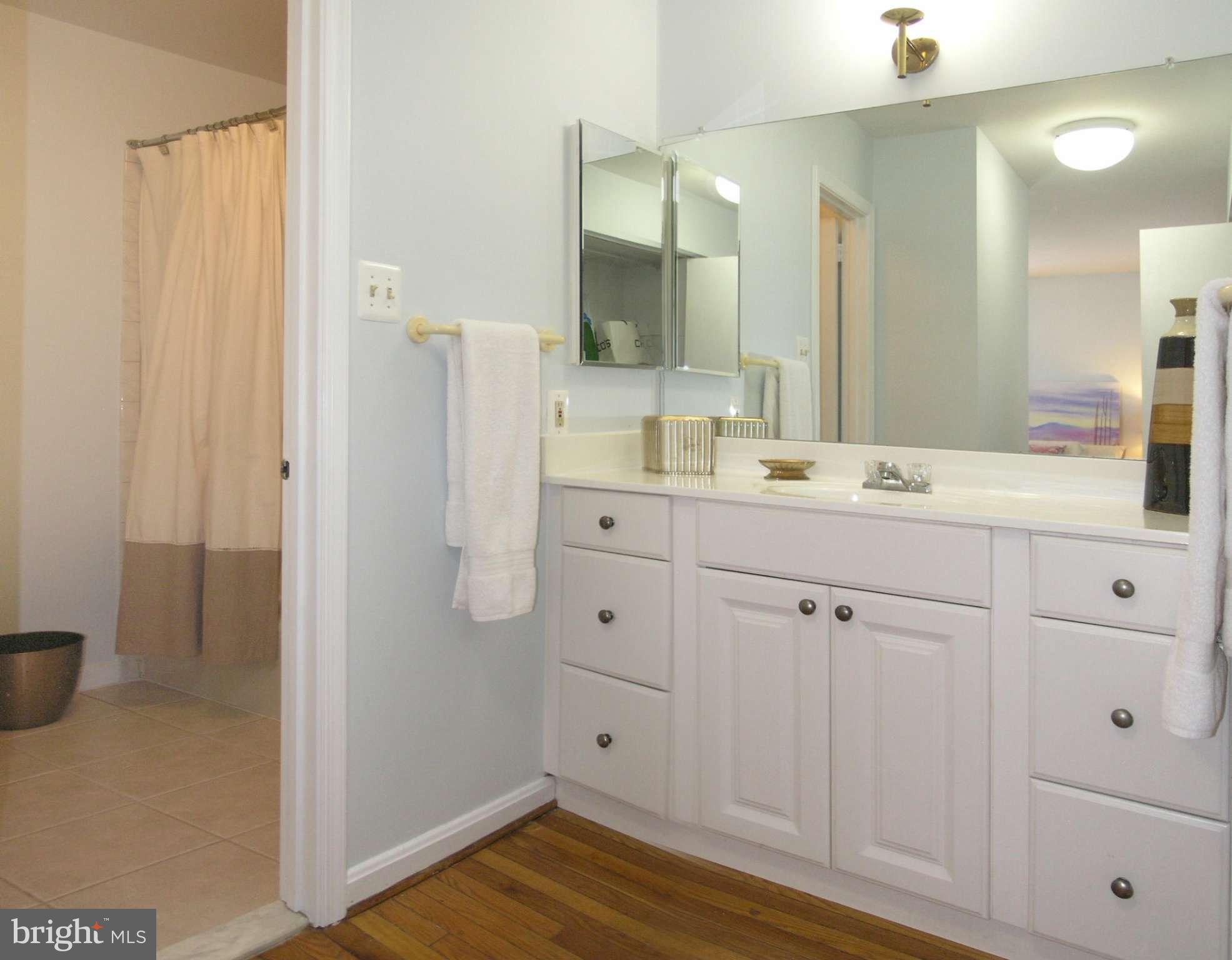 2130 Golf Course Drive Reston, VA 20191 - Photo 18 of 30 Bath (Master) with dressing area