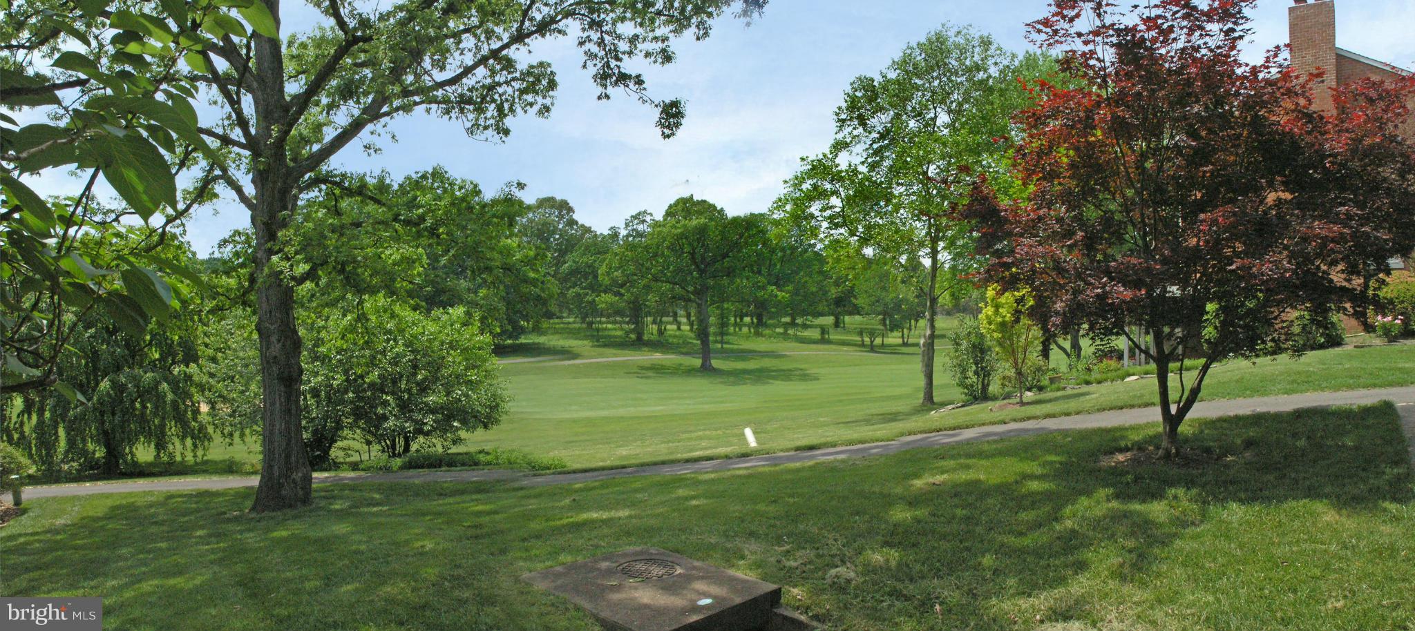 2130 Golf Course Drive Reston, VA 20191 - Photo 4 of 30 Golf Course View through the trees