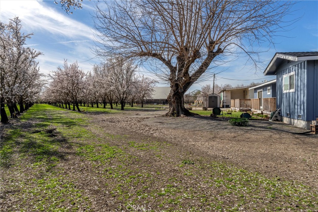 2737 House Avenue Durham, CA 95938 - Photo 35 of 49 a view of road with trees