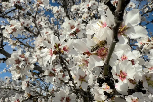 $735,000 | 2737 House Avenue, Durham, CA 95938