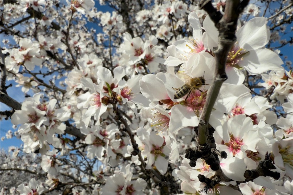 2737 House Avenue Durham, CA 95938 - Photo 37 of 49