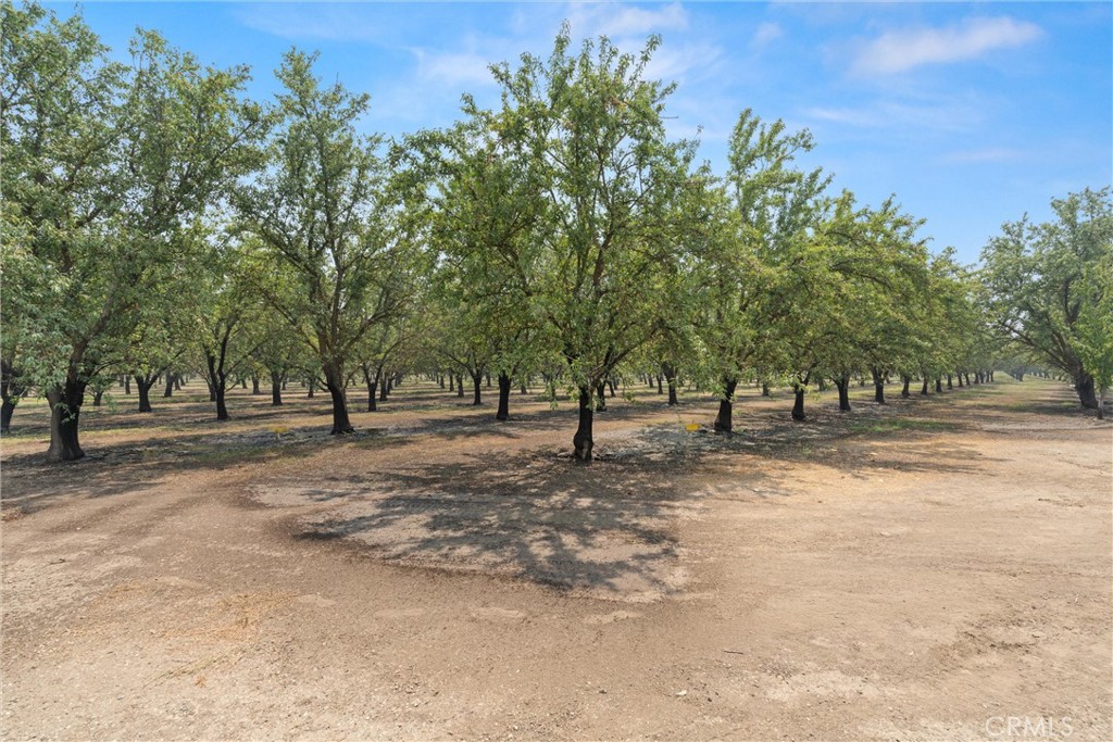 2737 House Avenue Durham, CA 95938 - Photo 47 of 49 a view of outdoor space with trees