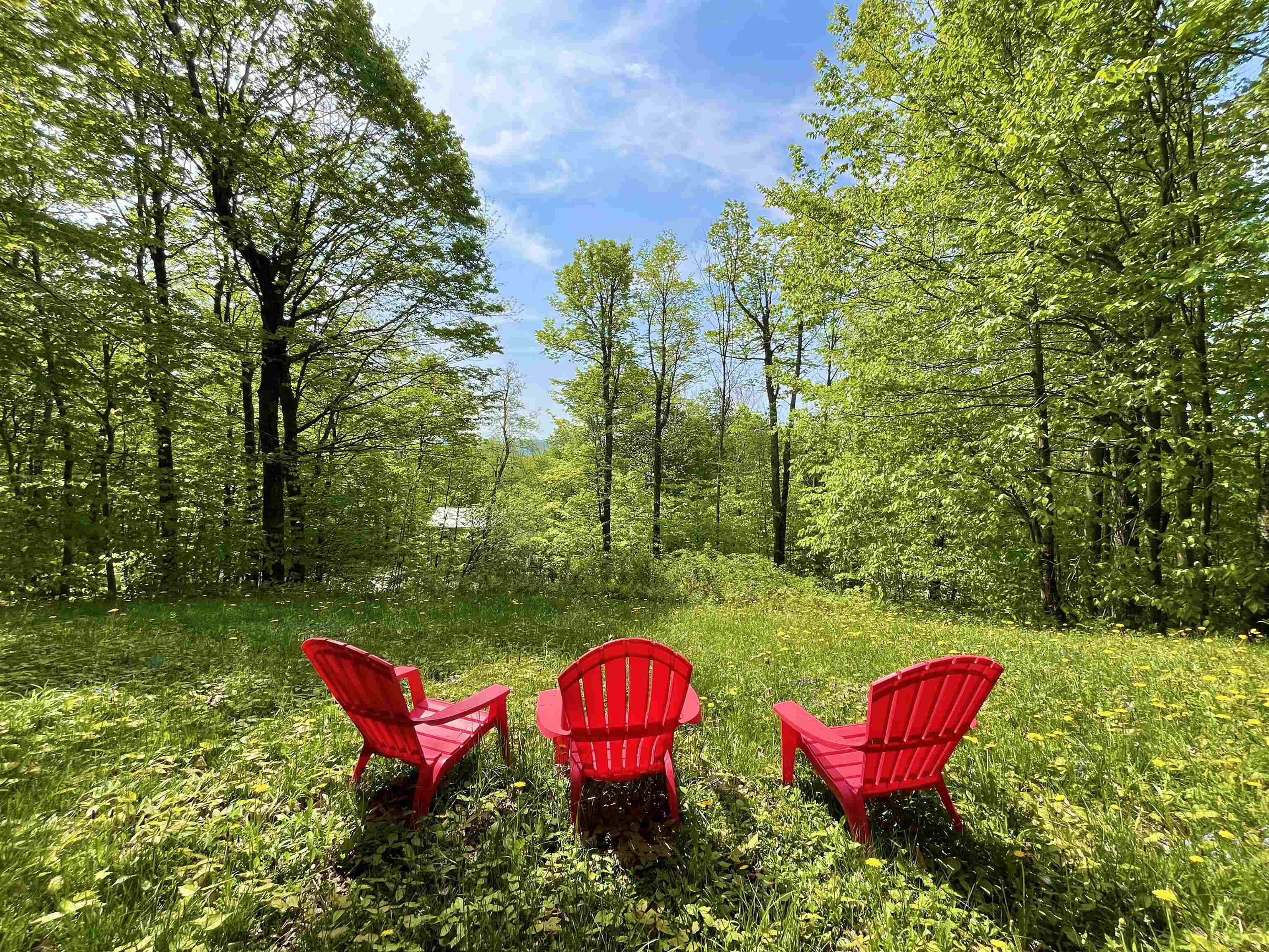 57 Snow Shoe Road Wilmington, VT 05363 - Photo 25 of 38 Gallery Image 25