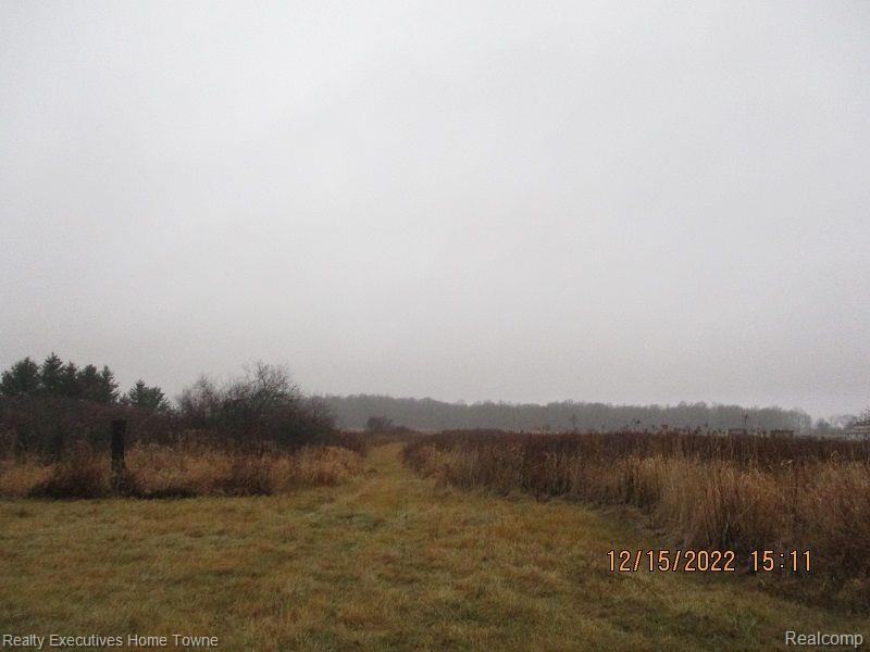 6309 Vincent Road Jeddo, MI 48032 - Photo 10 of 28 Gallery Image 10