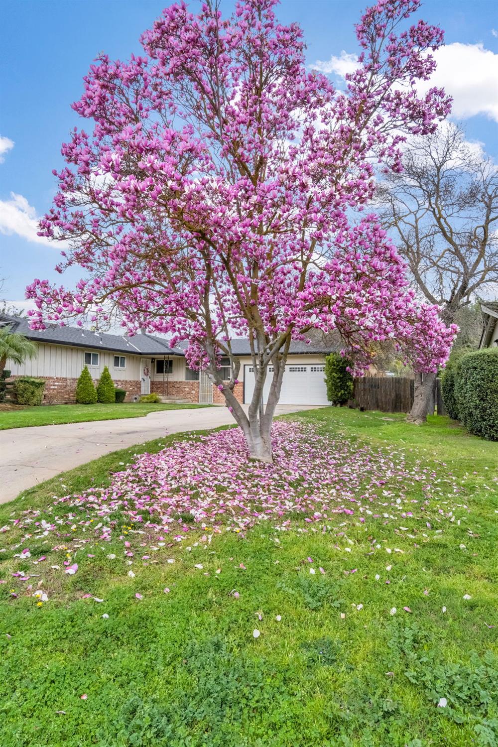 172 West Scott Avenue Fresno, CA 93704 - Photo 13 of 15