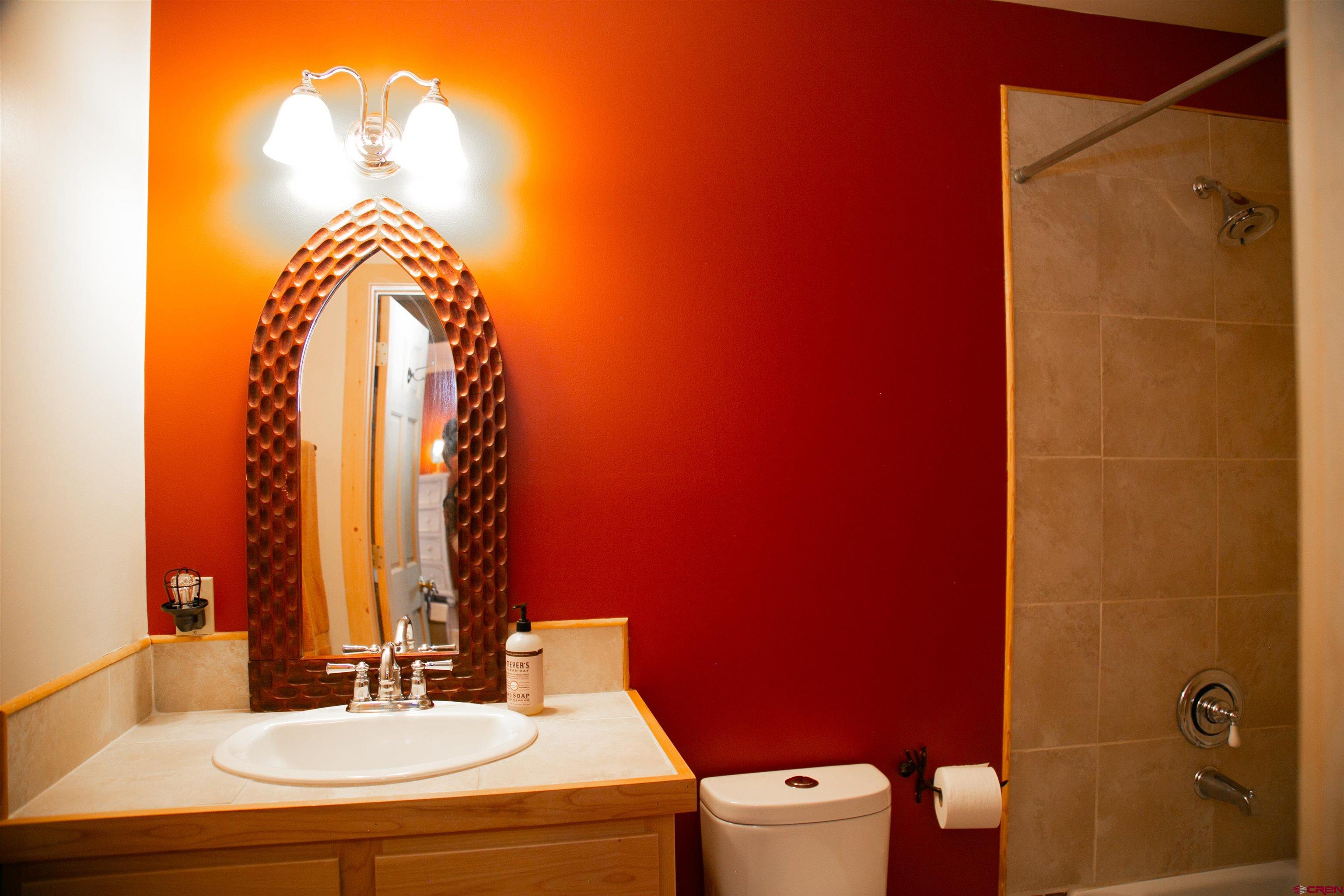 2250 Middle Creek Road Creede, CO 81130 - Photo 29 of 35 a bathroom with a sink a mirror and a shower