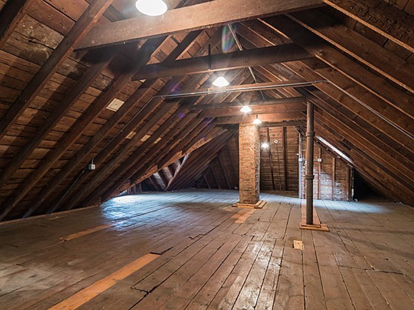 43 Goldsmith Street, Unit 3 Boston, MA 02130 - Photo 9 of 14