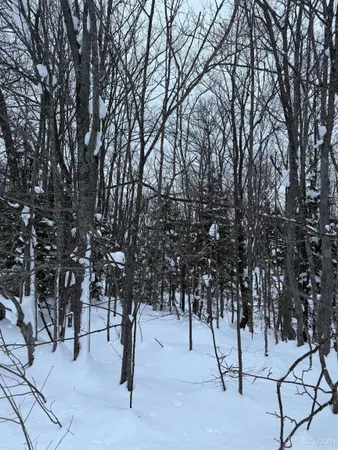 $25,000 | Tbd 3-10 Firesteel Road, Ontonagon, MI 49953