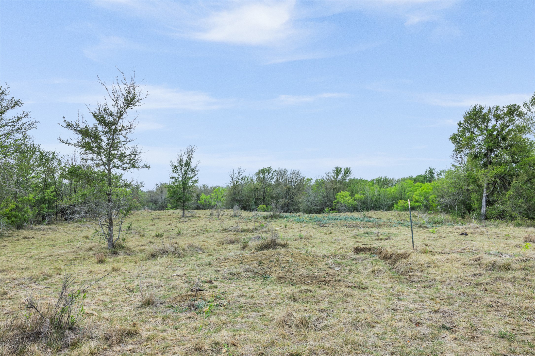 763 Upper Elgin River Road Elgin, TX 78621 - Photo 17 of 40 View of nature with rural landscape