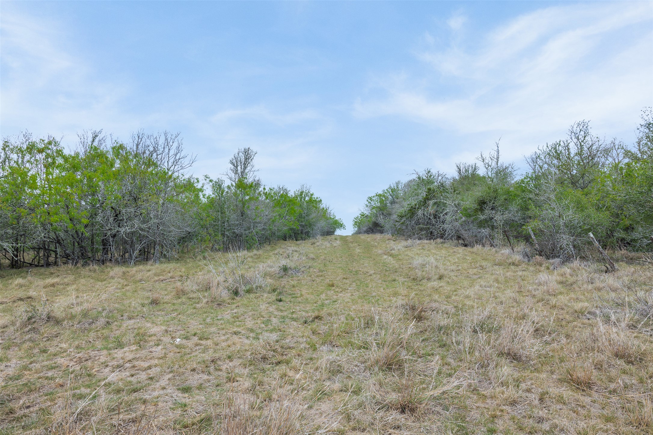763 Upper Elgin River Road Elgin, TX 78621 - Photo 18 of 40 View of local wilderness featuring rural landscape