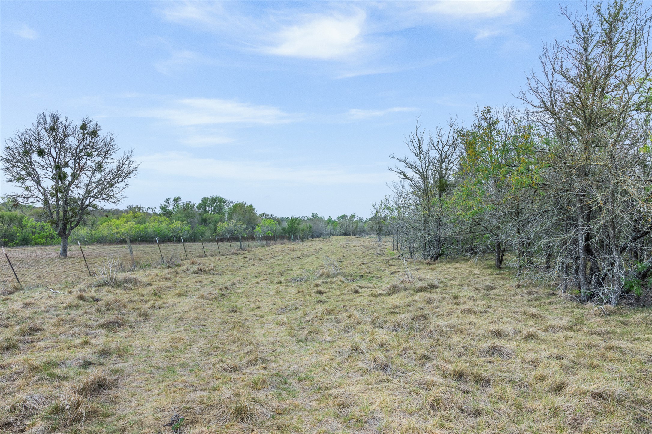763 Upper Elgin River Road Elgin, TX 78621 - Photo 19 of 40 View of local wilderness with rural landscape