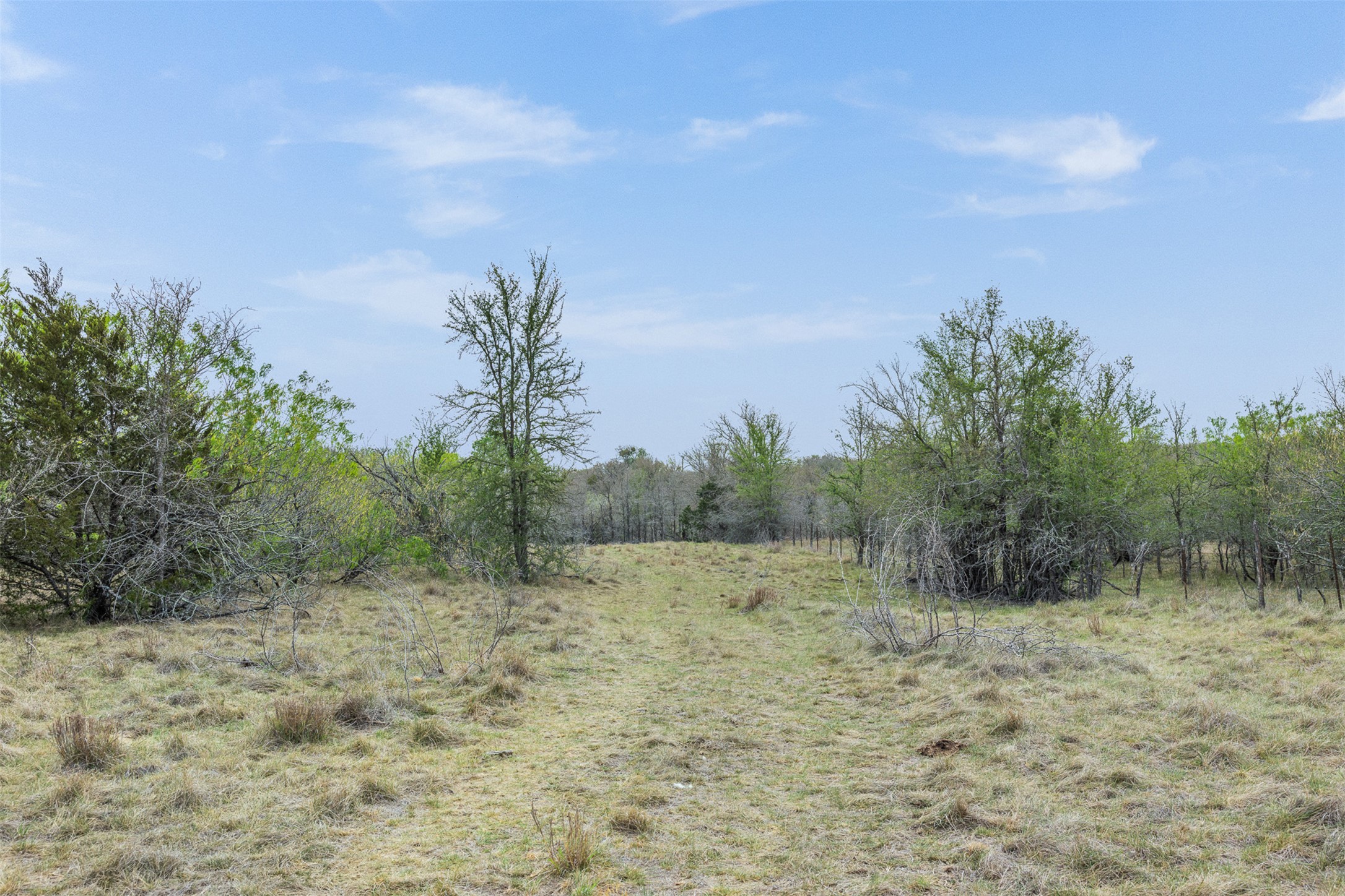 763 Upper Elgin River Road Elgin, TX 78621 - Photo 20 of 40 View of nature with rural landscape