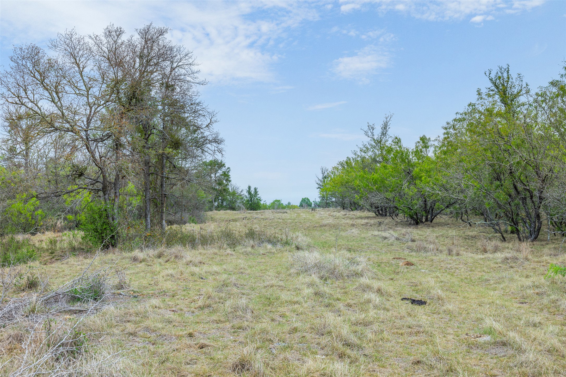 763 Upper Elgin River Road Elgin, TX 78621 - Photo 21 of 40 View of local wilderness featuring rural landscape