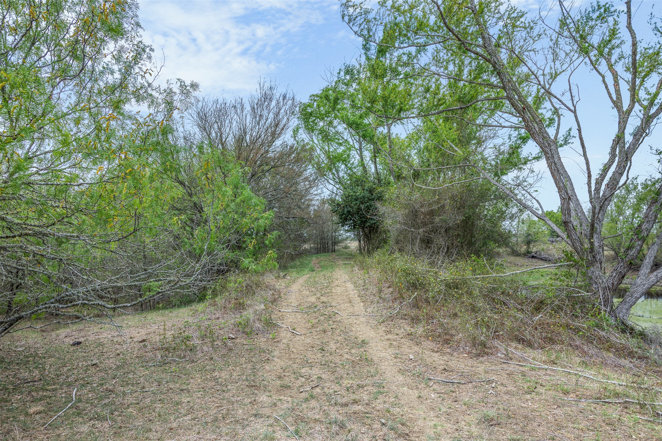 763 Upper Elgin River Road Elgin, TX 78621 - Photo 22 of 40 View of undeveloped land