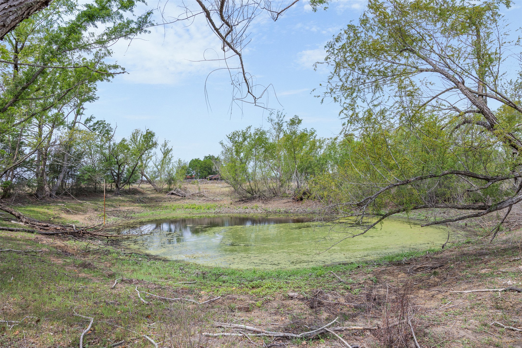 763 Upper Elgin River Road Elgin, TX 78621 - Photo 23 of 40 Water view