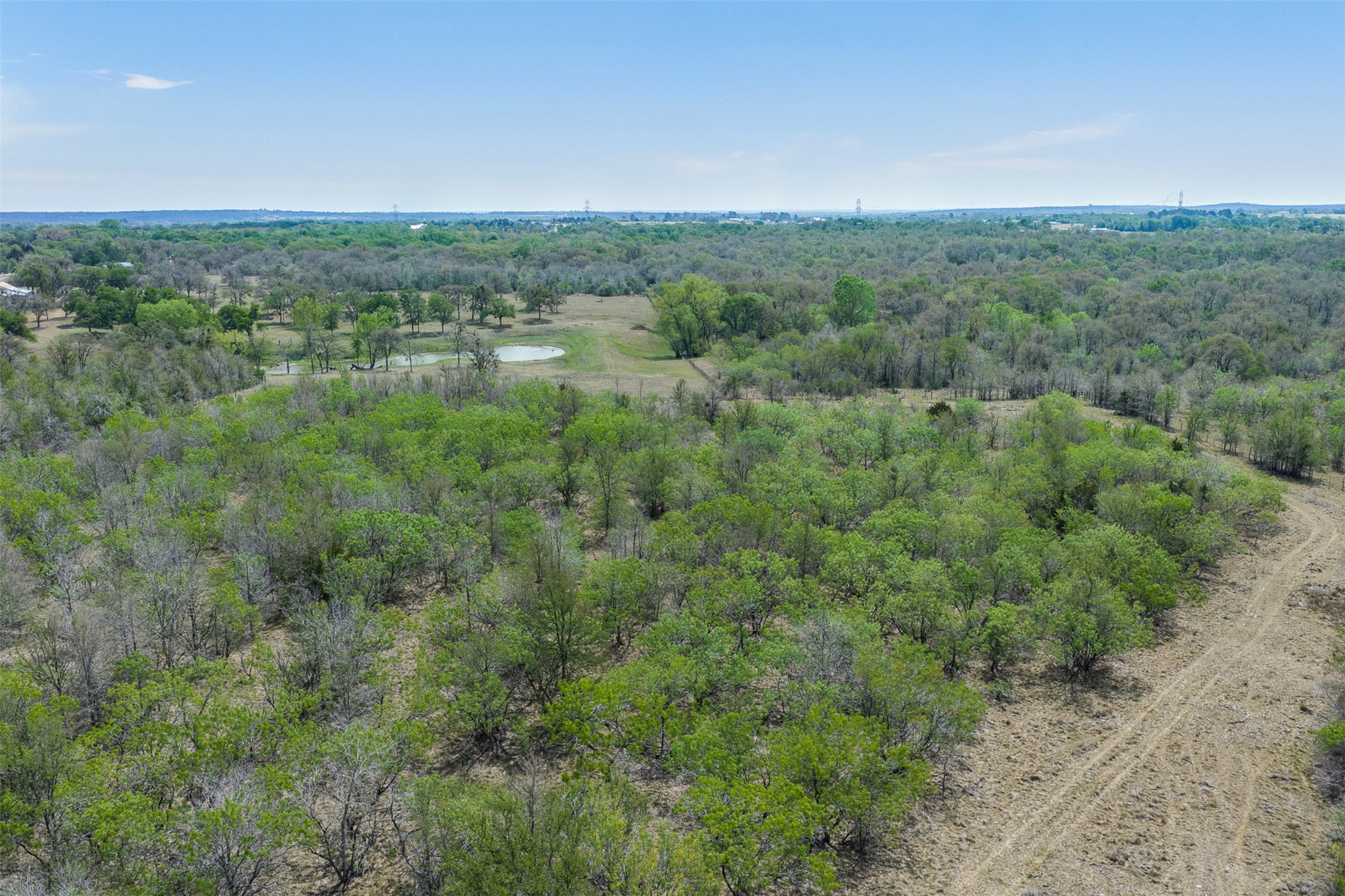 763 Upper Elgin River Road Elgin, TX 78621 - Photo 36 of 40 Bird's eye view of a forest