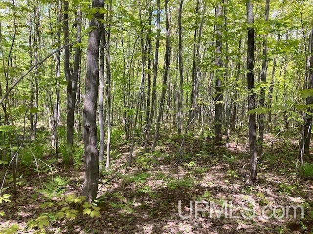 2 Boundary Road Chassell, MI 49916 - Photo 63 of 77
