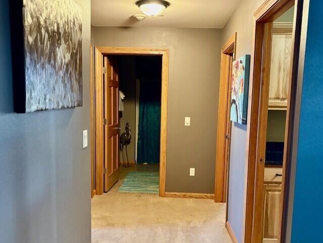 1844-7 East 20th Court, Unit 2507 Strongs Prairie, WI 54613 - Photo 22 of 52 Hallway