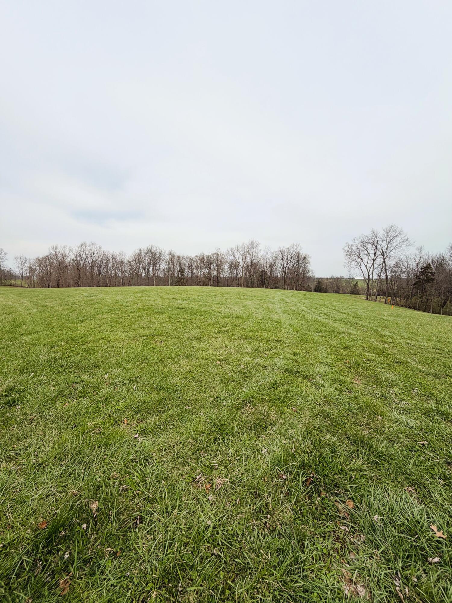 11.5-ac Osborne Road Dry Ridge, KY 41035 - Photo 2 of 38 IMG_4568
